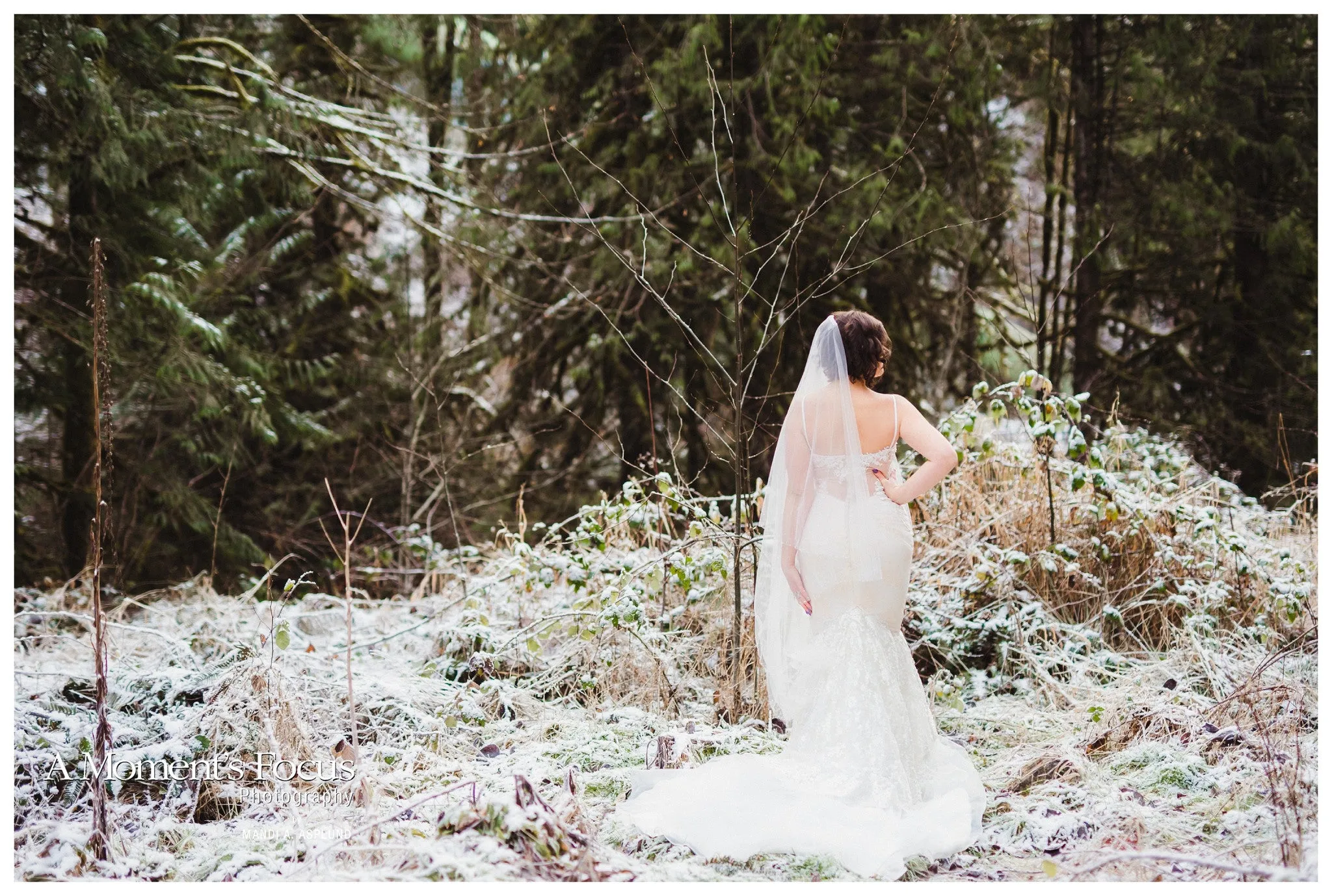 Lace Trumpet Spaghetti Strap Wedding Dress (#Sasha)
