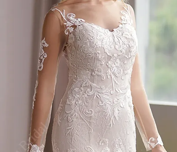 Long Sleeve Lace Appliques Bridal Dress With Illusion Back