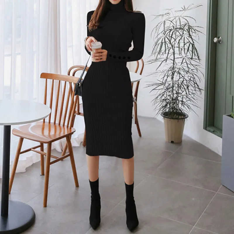 Sexy Bodycon Solid Dress Turtleneck Long